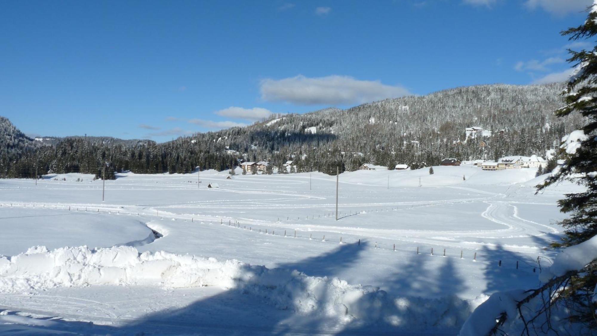 Ferienhaus Schaefer - Apartments - Wintersports - Family Holiday - Holiday With Your Dog - Rural & Scenic Flattnitz Esterno foto