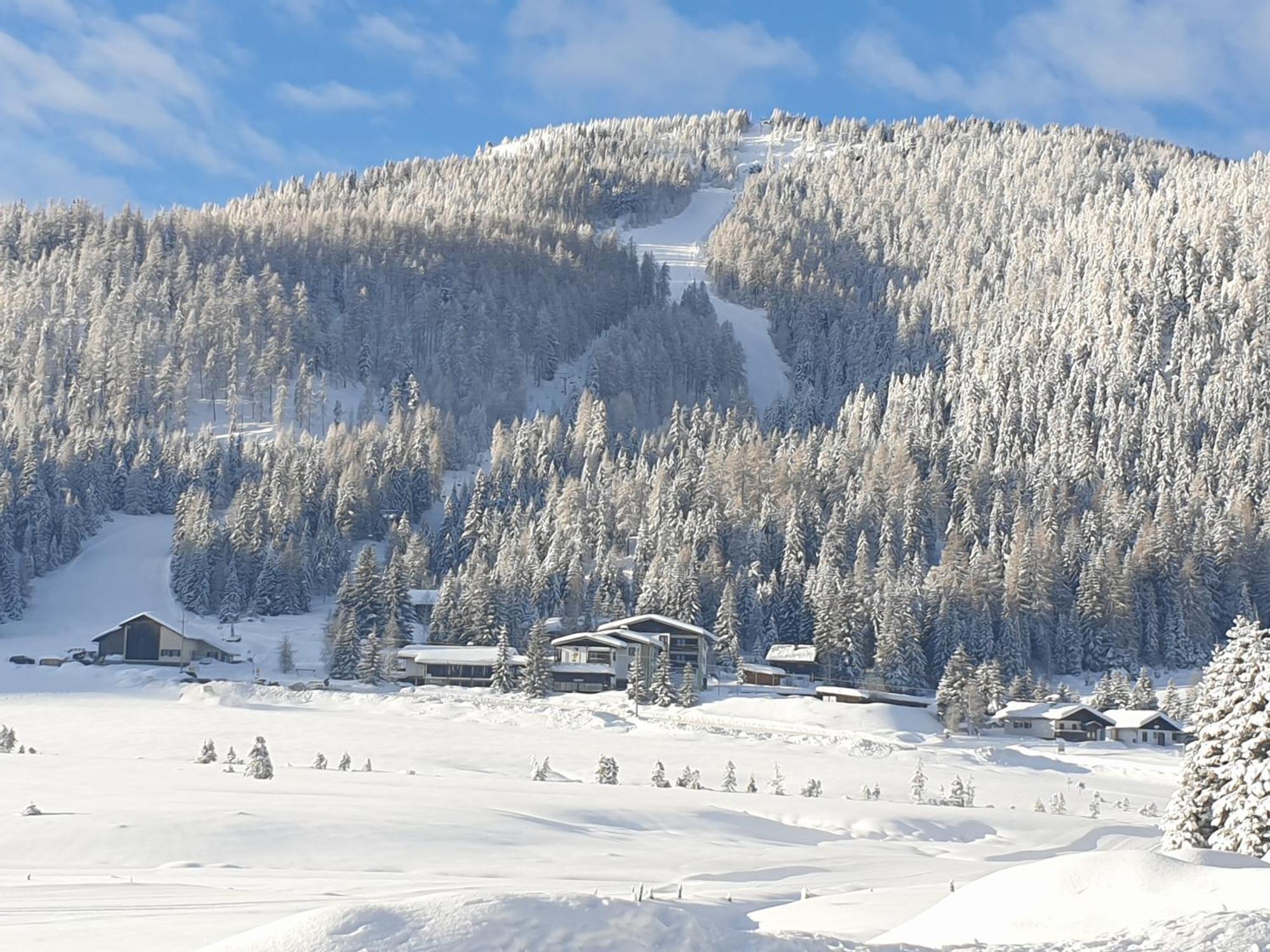 Ferienhaus Schaefer - Apartments - Wintersports - Family Holiday - Holiday With Your Dog - Rural & Scenic Flattnitz Esterno foto