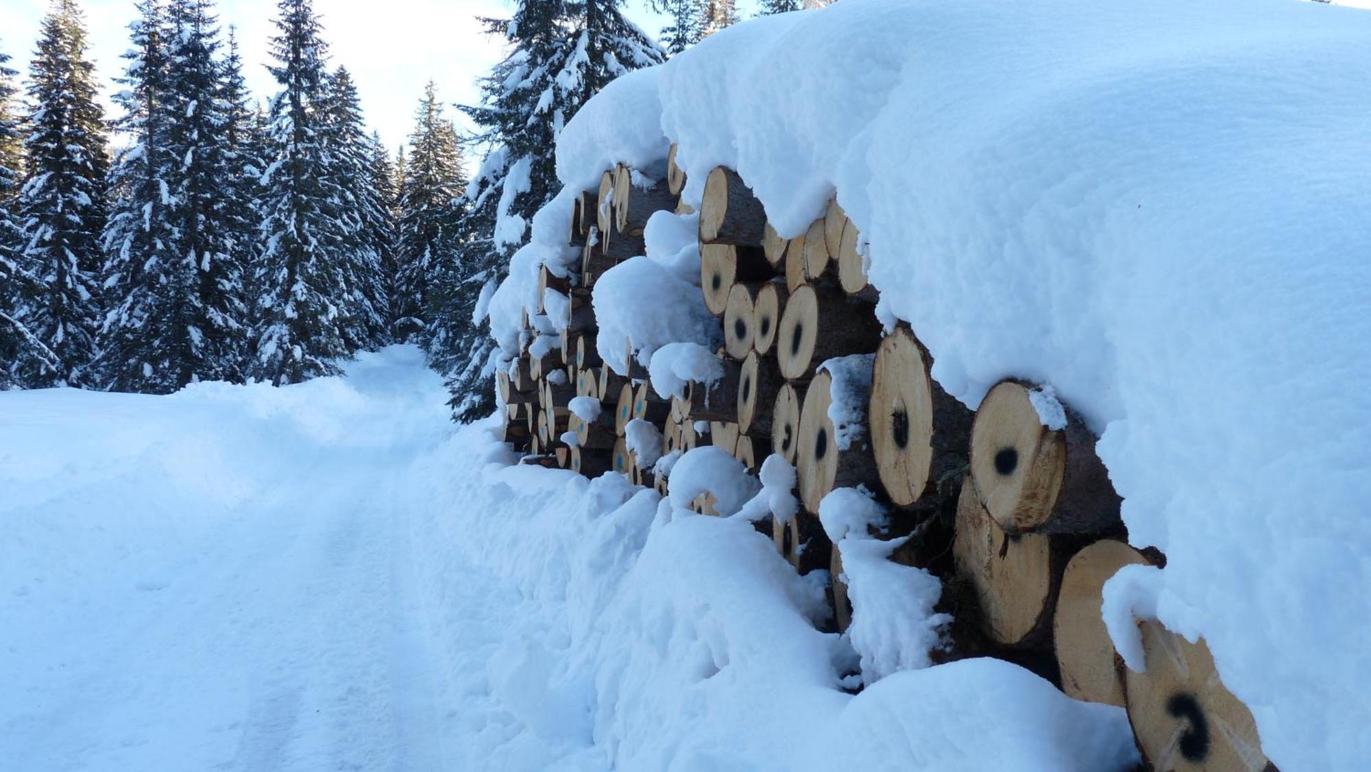 Ferienhaus Schaefer - Apartments - Wintersports - Family Holiday - Holiday With Your Dog - Rural & Scenic Flattnitz Esterno foto