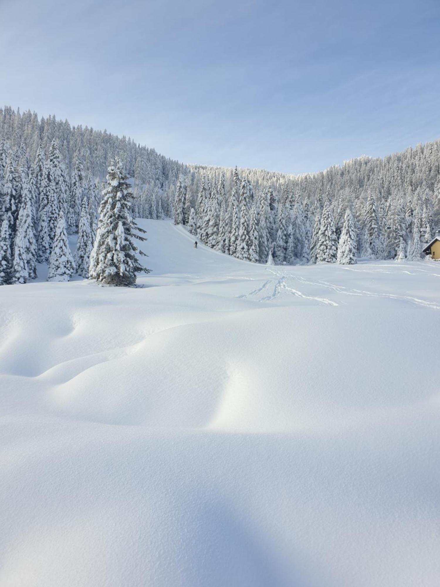 Ferienhaus Schaefer - Apartments - Wintersports - Family Holiday - Holiday With Your Dog - Rural & Scenic Flattnitz Esterno foto