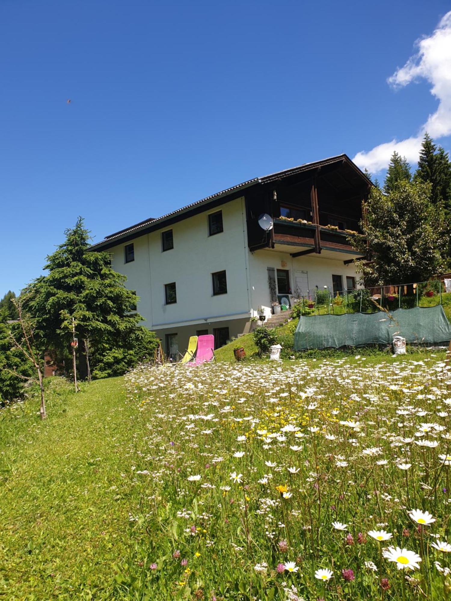 Ferienhaus Schaefer - Apartments - Wintersports - Family Holiday - Holiday With Your Dog - Rural & Scenic Flattnitz Esterno foto