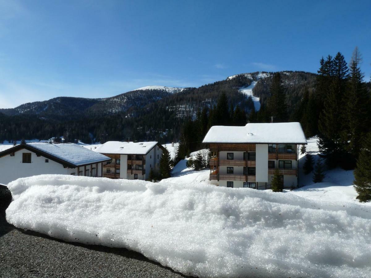 Ferienhaus Schaefer - Apartments - Wintersports - Family Holiday - Holiday With Your Dog - Rural & Scenic Flattnitz Esterno foto